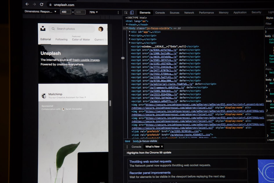 Top 5 Plugins for Your Site